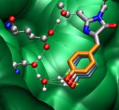 Coca: ciencia